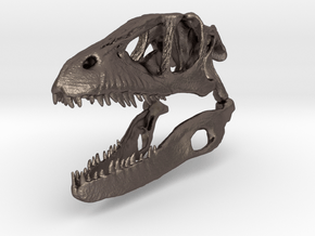  Dino Skull - Raptor Replica in Polished Bronzed Silver Steel
