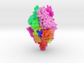 RSV Fusion Glycoprotein Prefusion in Glossy Full Color Sandstone: Small