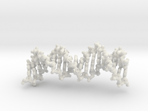 Long DNA - magnets for dimer in White Premium Versatile Plastic