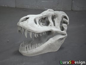 Tyrannosaurus Dinosaur Skull - T-Rex in White Natural Versatile Plastic