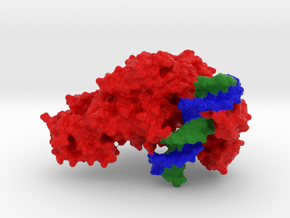 DNA Methyltransferase in Full Color Sandstone