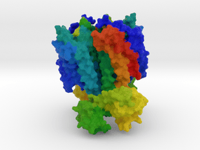 CXCR4 Chemokine Receptor in Full Color Sandstone