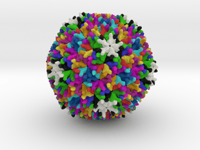 Birnavirus in Full Color Sandstone