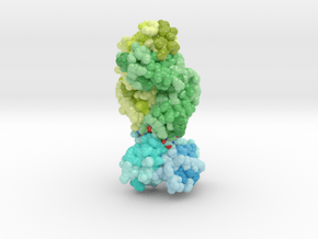 Human Antibody Fab Targeting fHbp (Volumetric) in Glossy Full Color Sandstone: Small