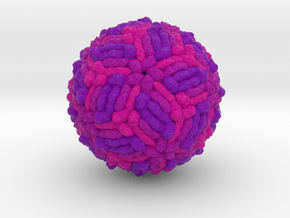 West Nile Virus in Full Color Sandstone