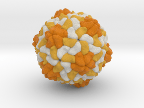 Orange-Spotted Nervous Necrosis Virus in Full Color Sandstone