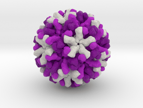 Norwalk Virus in Full Color Sandstone