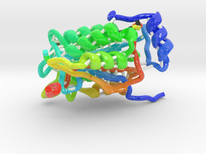Interleukin-1β Converting Enzyme (ICE) in Glossy Full Color Sandstone