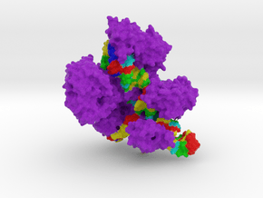 CRISPR-Cas9 in Full Color Sandstone