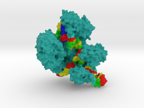 CRISPR-Cas9 in Full Color Sandstone