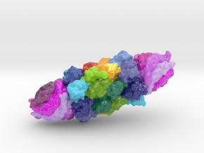 20S Proteasome with PA26 (Large) in Glossy Full Color Sandstone
