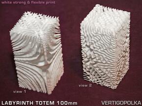Labyrinth Totem 100mm in White Natural Versatile Plastic