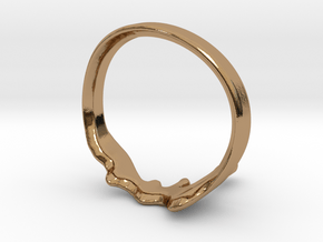 Drip Ring in Polished Brass: 8 / 56.75
