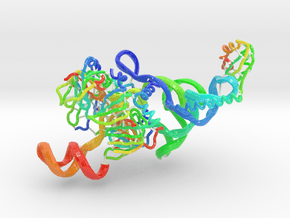 Human Spliceosomal U1 snRNP (Large) in Glossy Full Color Sandstone