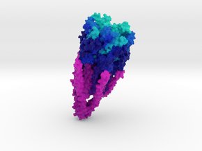 Nicotinic Acetylcholine Receptor    in Full Color Sandstone