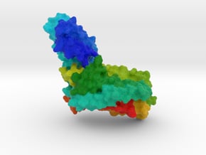 Human Angiotensin Receptor in Full Color Sandstone