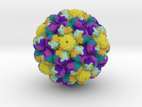 Murine Polyomavirus in Full Color Sandstone