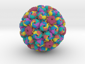 BK Polyomavirus in Full Color Sandstone