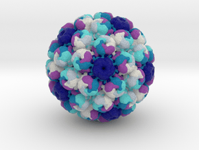 BK Polyomavirus in Full Color Sandstone