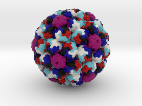 Murine Polyomavirus in Full Color Sandstone