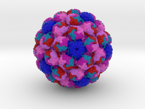 Murine Polyomavirus in Full Color Sandstone