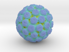 JC Polyomavirus in Full Color Sandstone