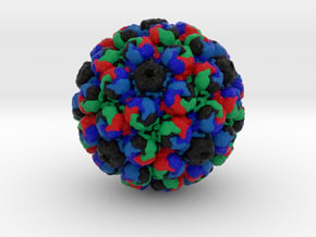 Simian Virus 40 in Full Color Sandstone