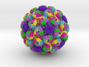 Simian Virus 40 in Full Color Sandstone