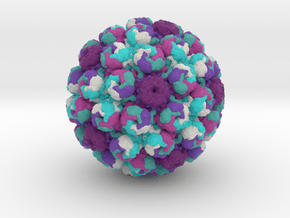 Simian Virus 40 in Full Color Sandstone