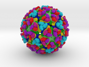 Chikungunya Virus in Full Color Sandstone