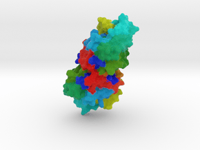 Polynucleotide Kinase in Full Color Sandstone