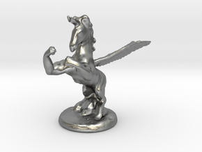 Wada Fu , The Flying Fighting Unicorn™ (small) in Natural Silver