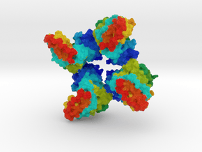 Creatine Kinase  in Full Color Sandstone