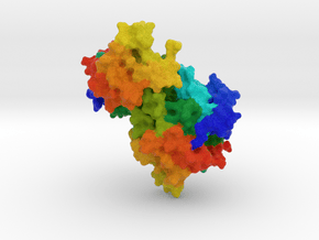 Mitogen-Activated Protein Kinase Kinase 1 (MEK1) in Full Color Sandstone