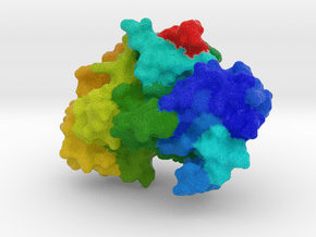 Cyclin-Dependent Kinase 2 in Full Color Sandstone