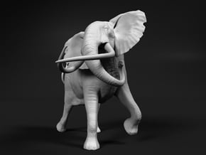 African Bush Elephant 1:16 Tusker Bull Shawu in White Natural Versatile Plastic