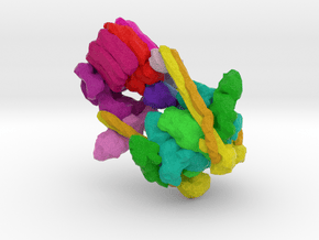 Vacuolar ATPase in Full Color Sandstone