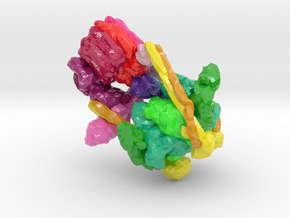 Vacuolar ATPase (Large) in Glossy Full Color Sandstone