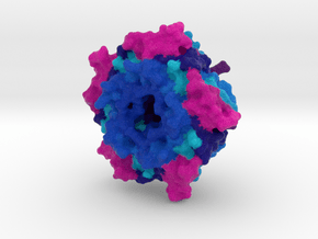 Carboxysome Subunit CcmL in Full Color Sandstone