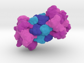 HslUV Protease-Chaperone Complex in Full Color Sandstone