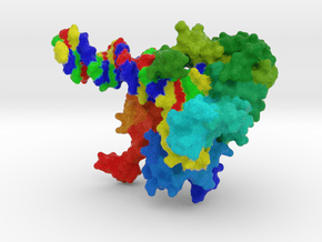 TN5 Transposase complexed with Transposon End DNA in Full Color Sandstone