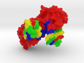 TATA-Binding Protein complexed with DNA in Full Color Sandstone
