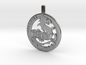 CS:GO - Operation Wildfire Medallion in Polished Silver