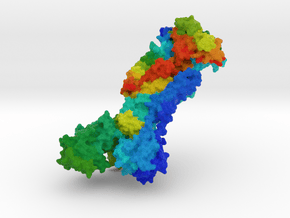 Sodium-Potassium Pump in Full Color Sandstone