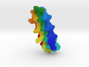 Snow Flea Antifreeze Protein in Full Color Sandstone