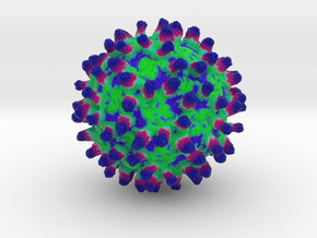 West Nile Virus with Monoclonal Antibodies in Full Color Sandstone