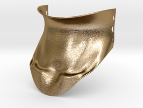 Collar Brace in Polished Gold Steel
