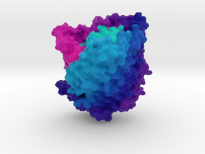 Ferric Hydroxamate Uptake Receptor in Full Color Sandstone