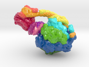 ATP Synthase (Large) in Glossy Full Color Sandstone