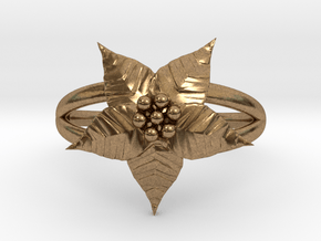 Poinsettia - The Ring of December  in Natural Brass
